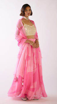 Pink Embroidered Lehenga Set