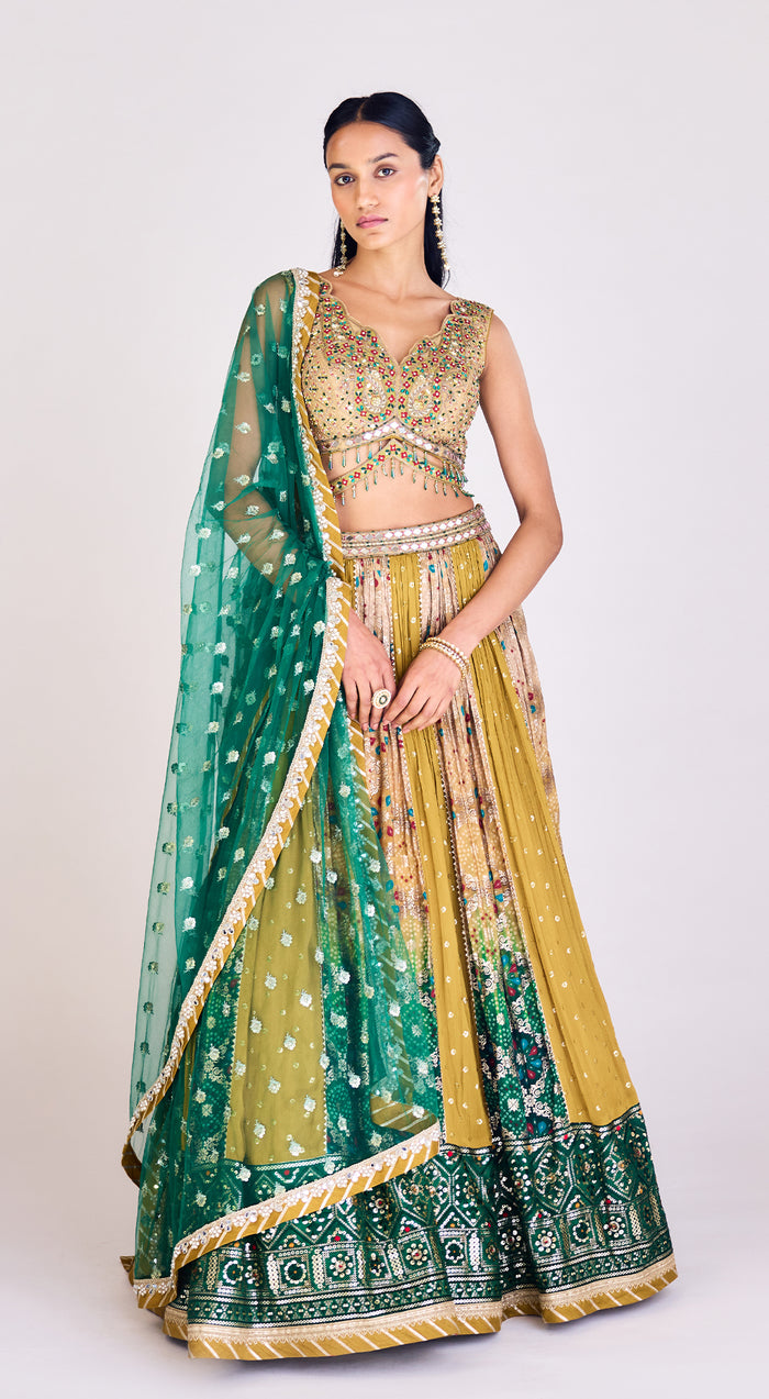 Multi Colored Embroidered Lehenga Set