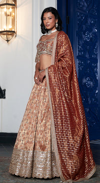 Rust Banarasi Weave Embroidered Lehenga Set