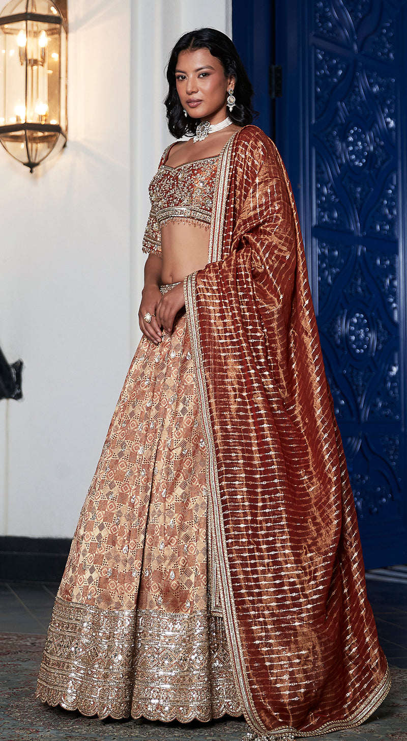 Rust Banarasi Weave Embroidered Lehenga Set