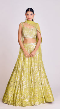 Lime Sequins Embroidered Lehenga