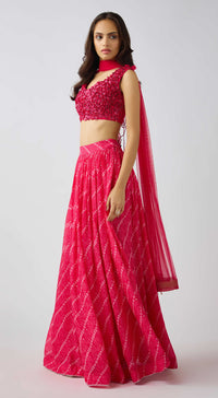 Pink Organza Embroidered Lehenga Set