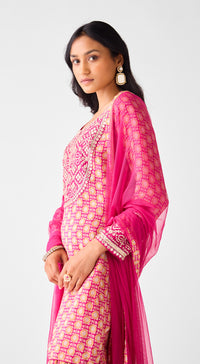 Rani Pink Embroidered Sharara Set