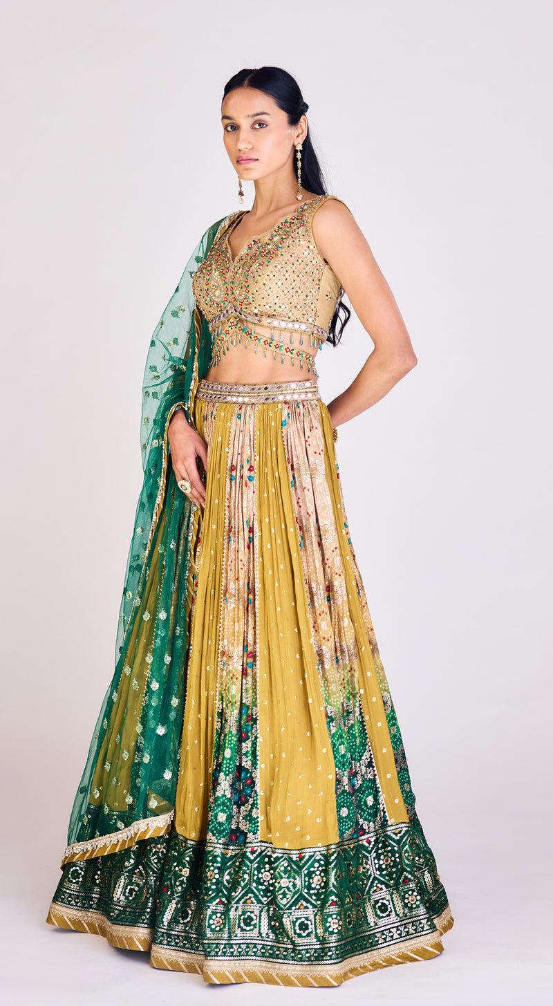 Multi Colored Embroidered Lehenga Set