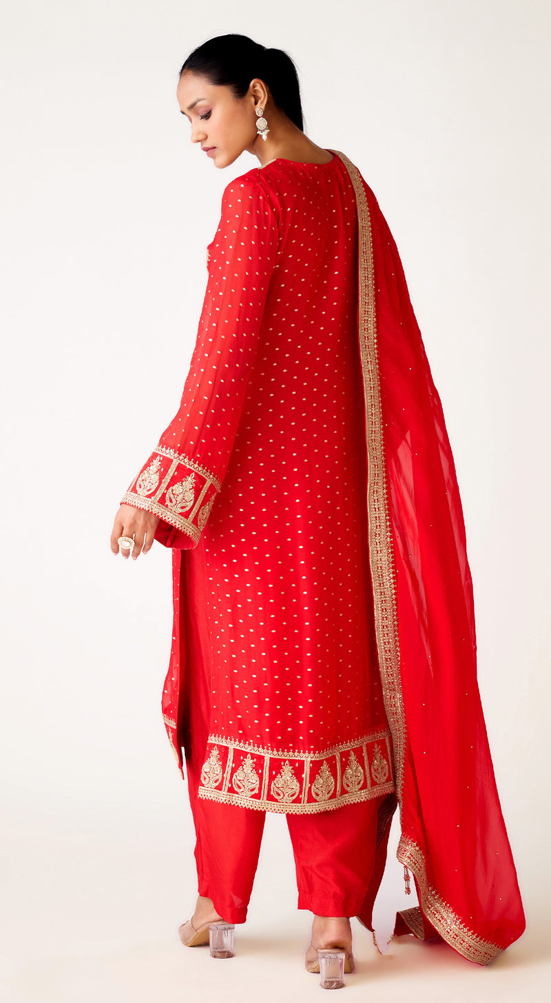 Red Organza Embroidered Suit Set