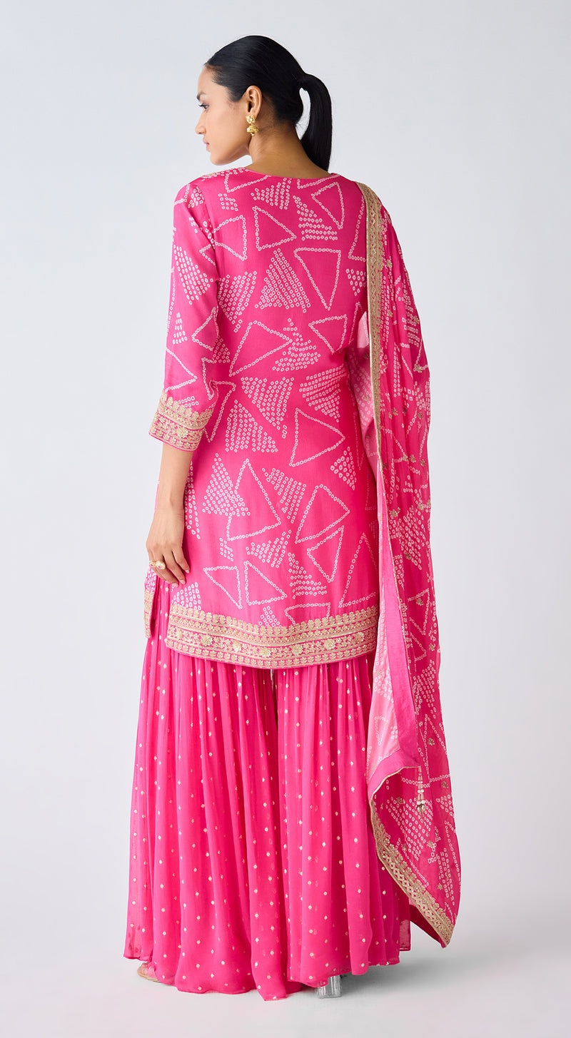 Rani Pink Embroidered Sharara Set