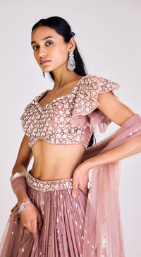 Embroidered Organza Lehenga Set