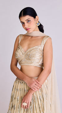 Ivory Georgette Lehenga Set