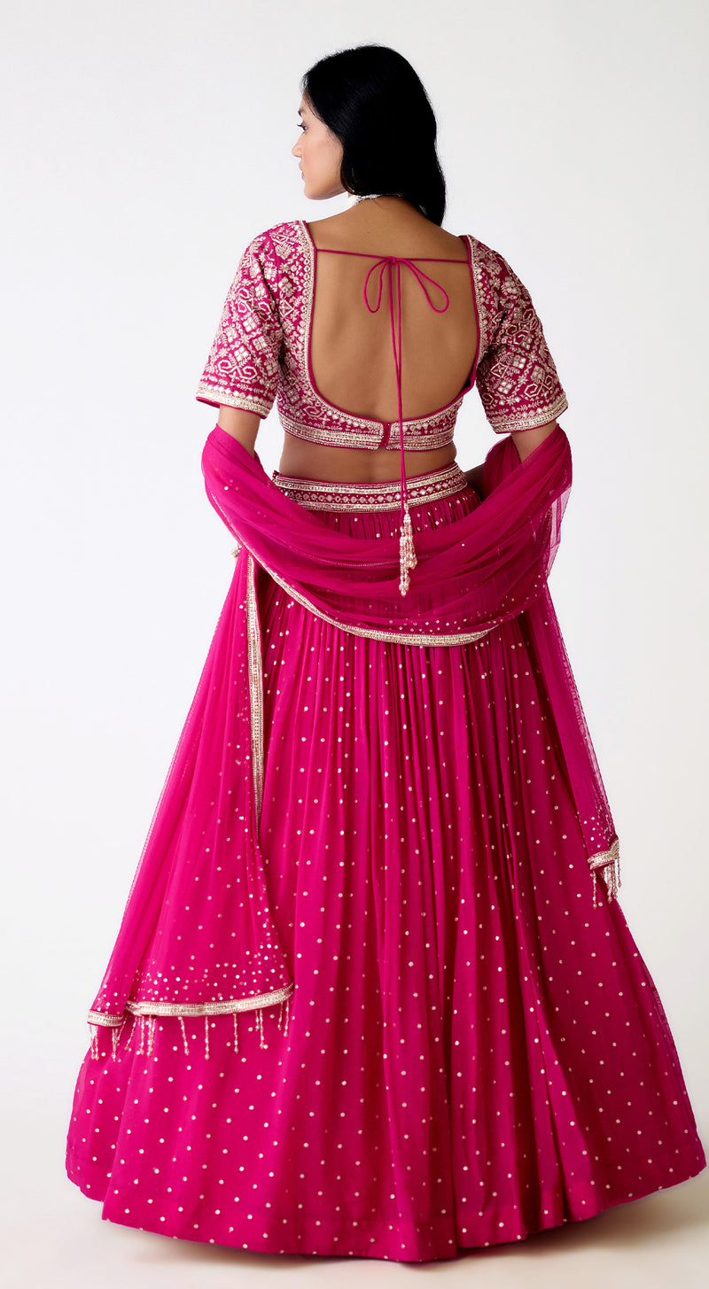 Rani Pink Organza Embroidered Lehenga Set