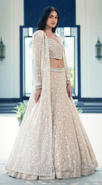 Beige Chantilly Net Embroidered Lehenga Set