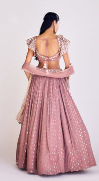 Embroidered Organza Lehenga Set