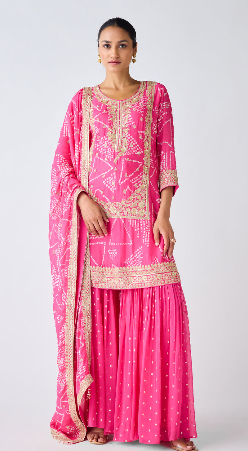 Rani Pink Embroidered Sharara Set