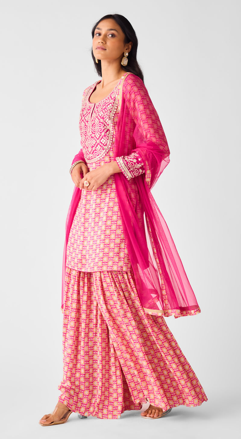 Rani Pink Embroidered Sharara Set