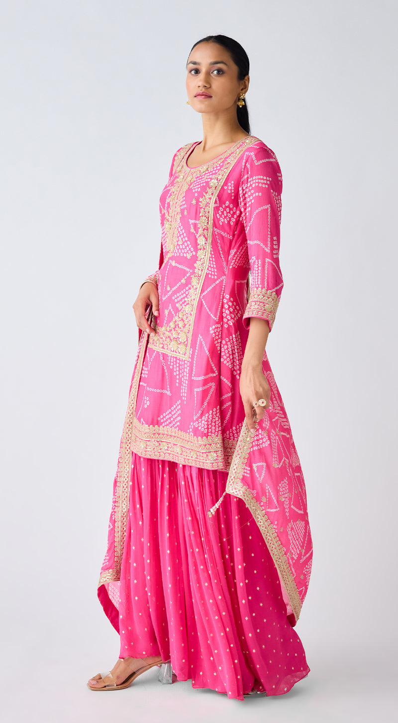 Rani Pink Embroidered Sharara Set