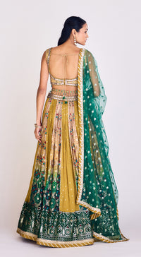 Multi Colored Embroidered Lehenga Set