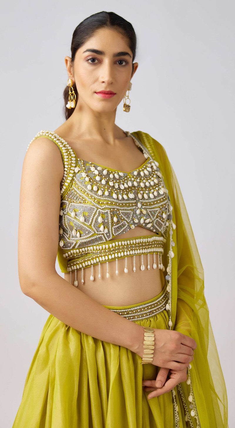 Lime Tissue Embroidered Lehenga Set