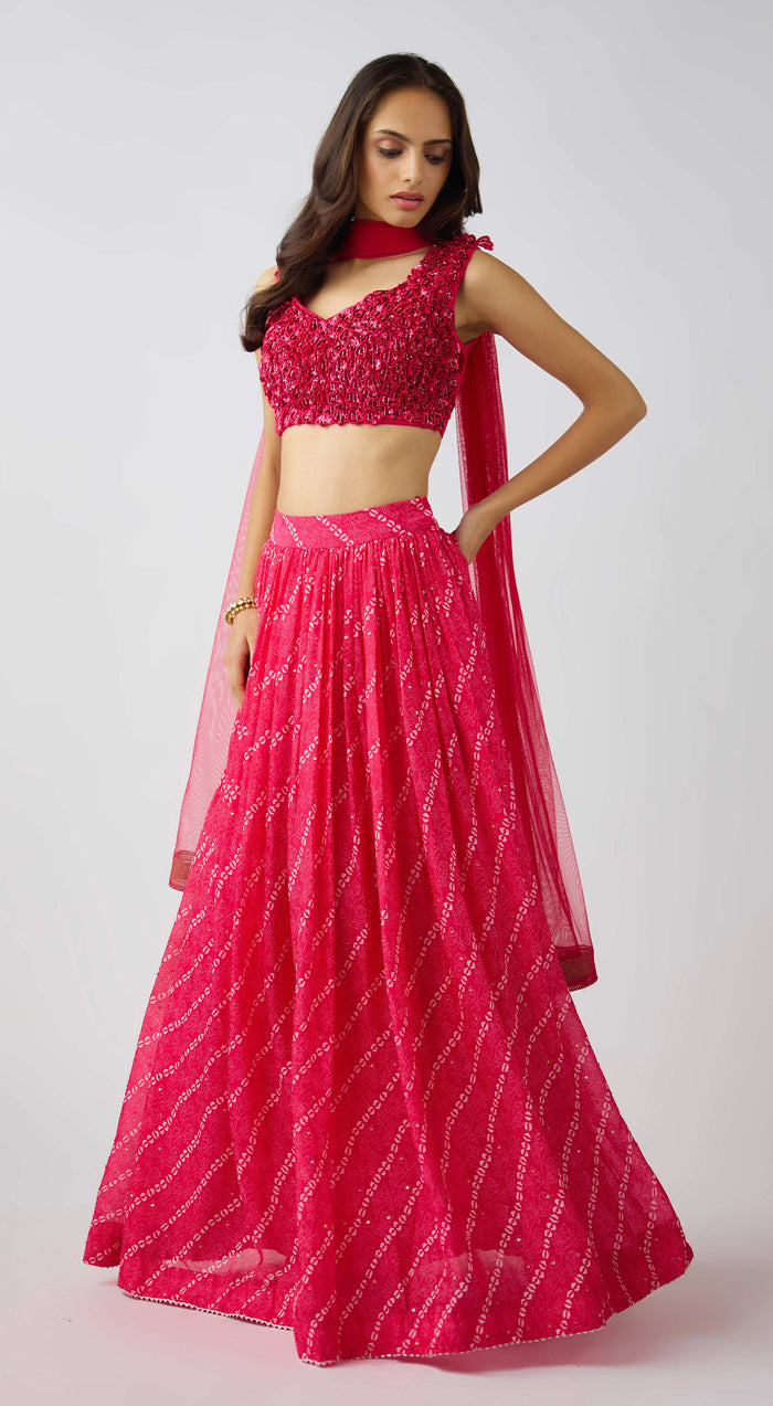 Pink Organza Embroidered Lehenga Set