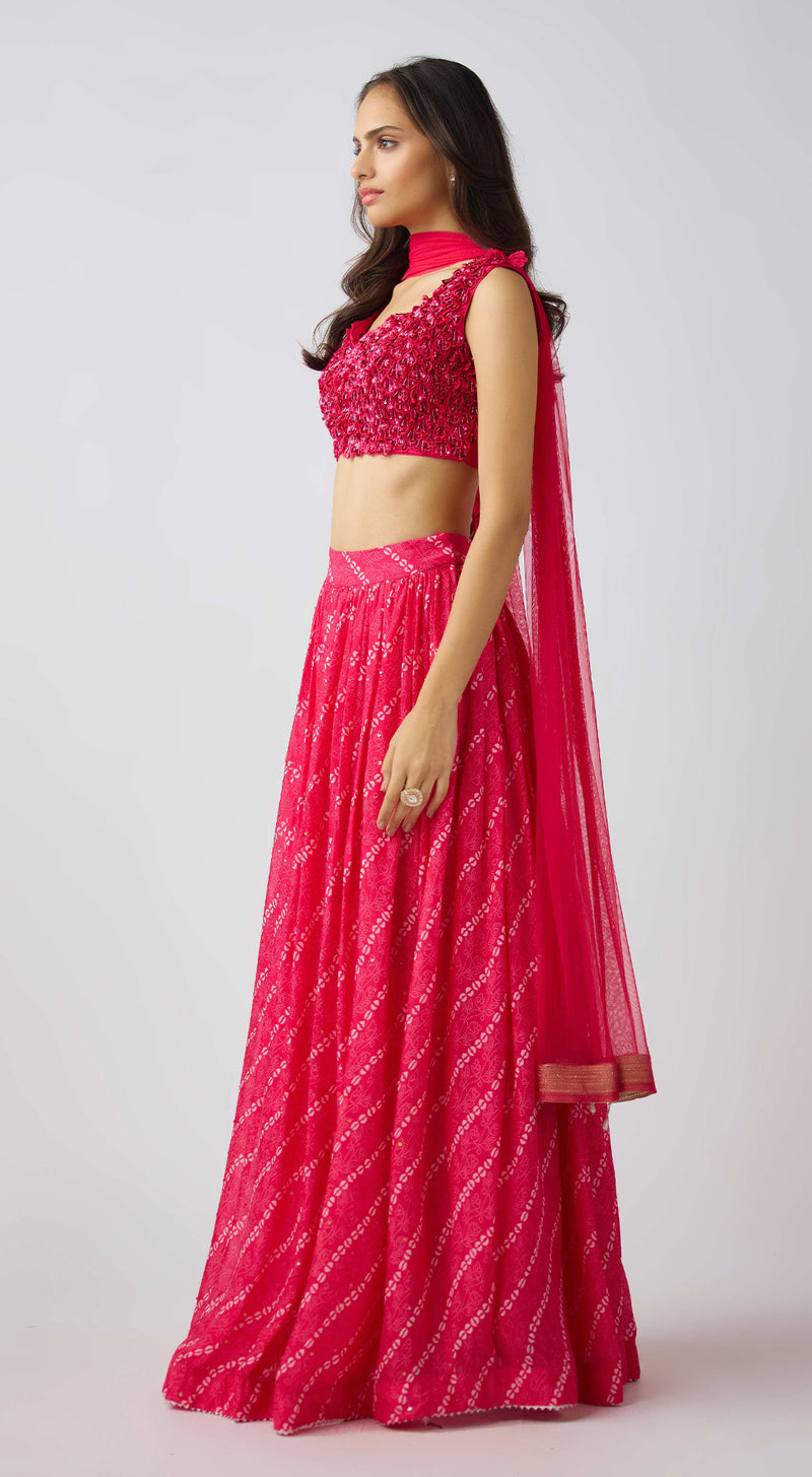 Pink Organza Embroidered Lehenga Set