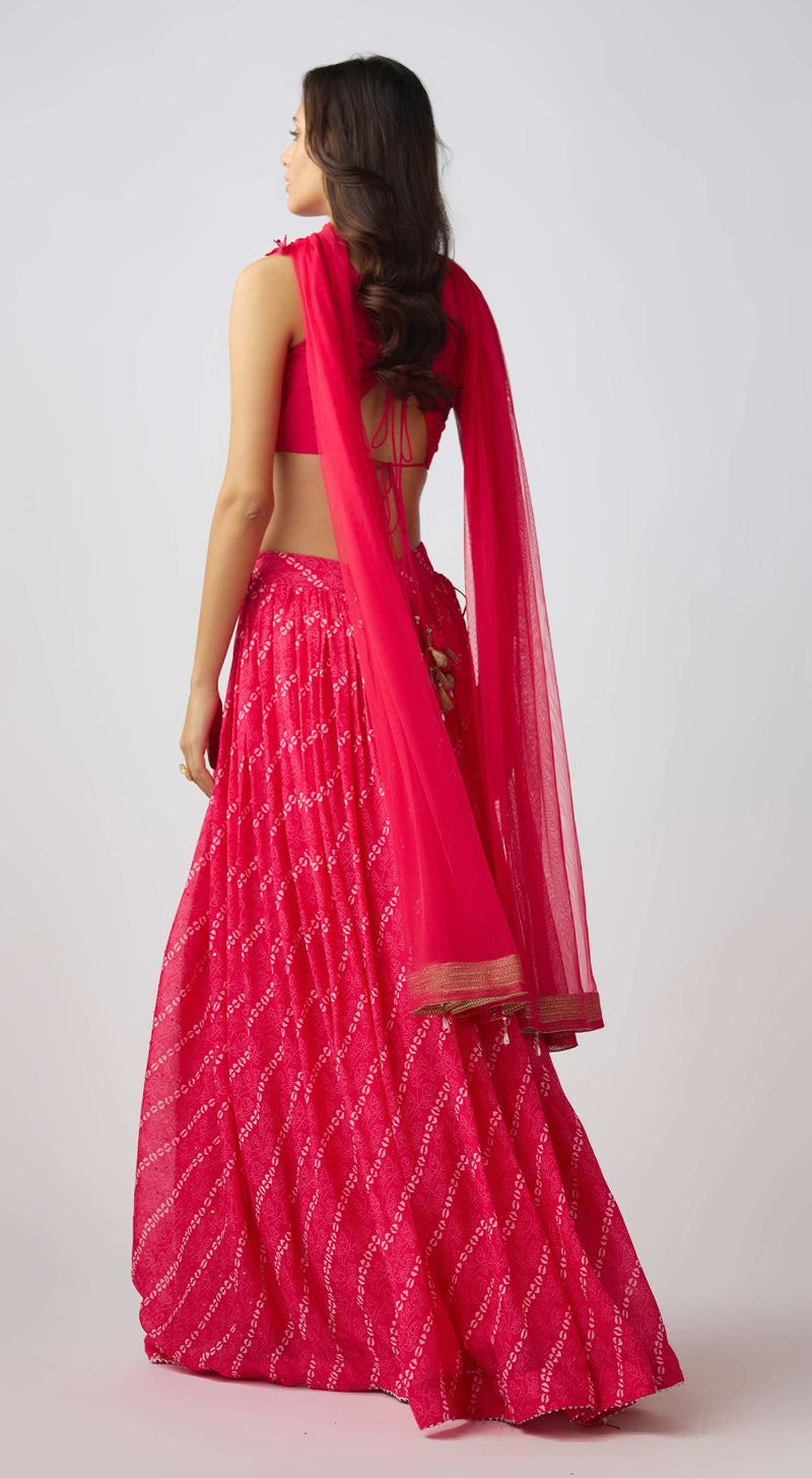 Pink Organza Embroidered Lehenga Set