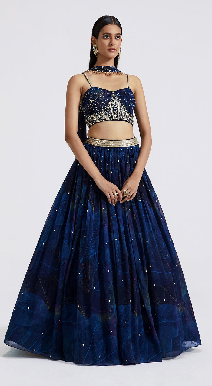 Blue Lehenga Set