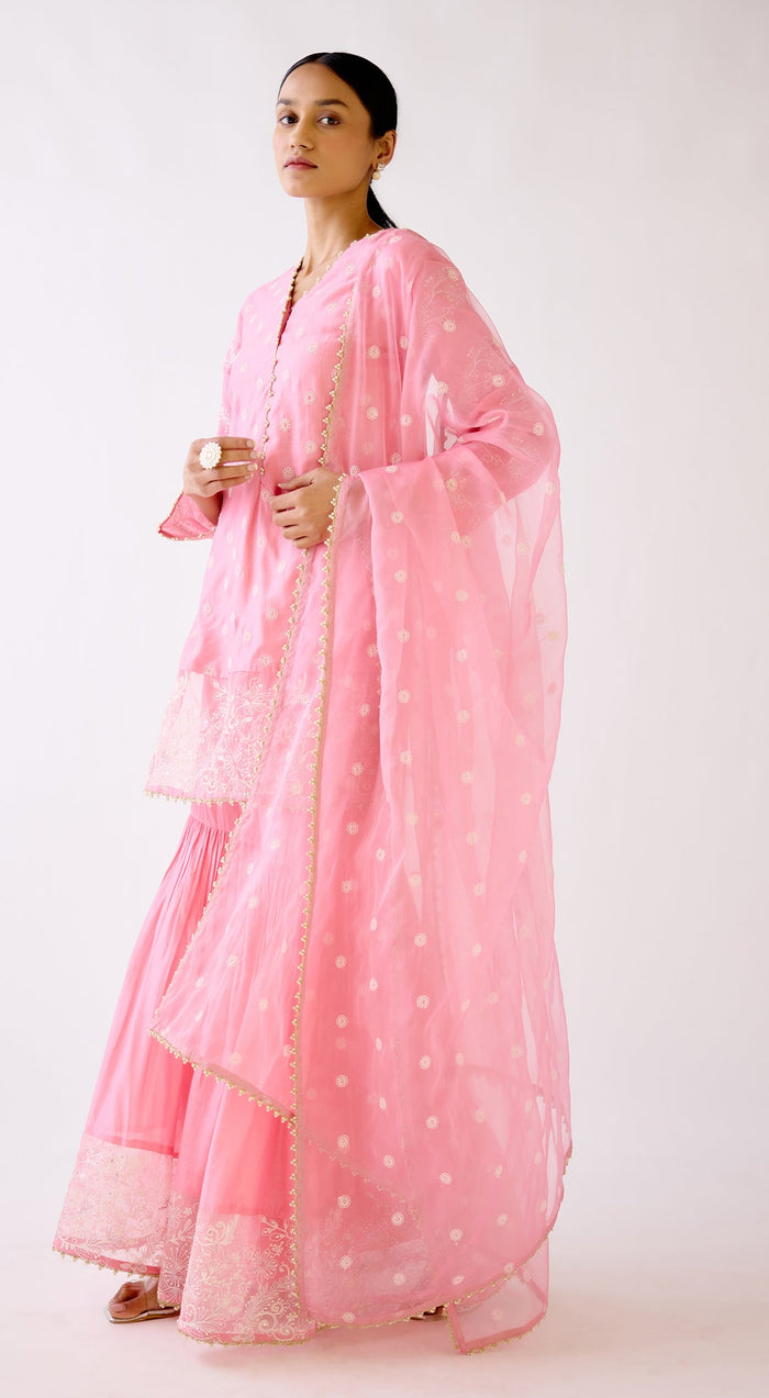 Pink Embroidered Sharara Set