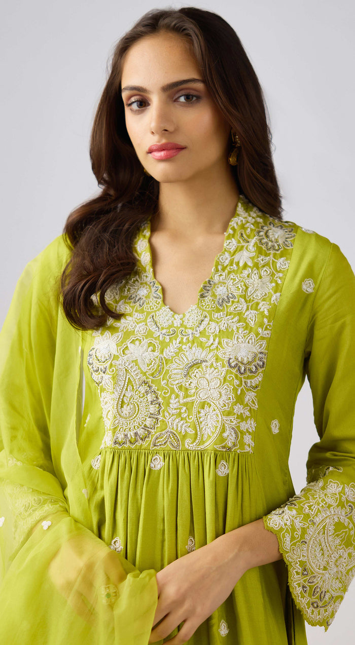 Lime Silk Embroidered Suit Set