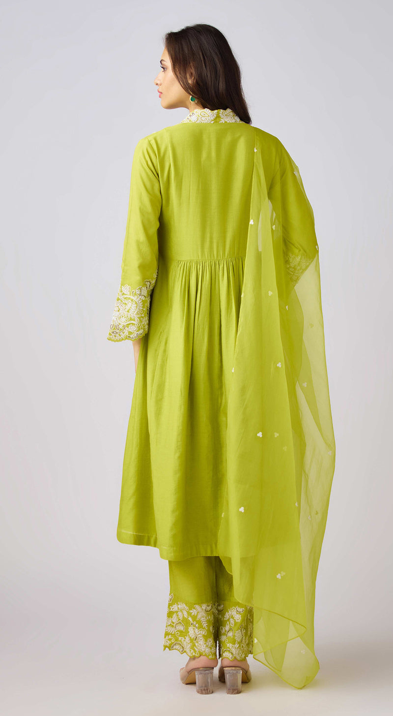 Lime Silk Embroidered Suit Set