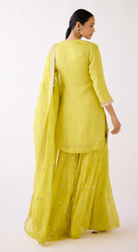 Lime Embroidered Sharara Set