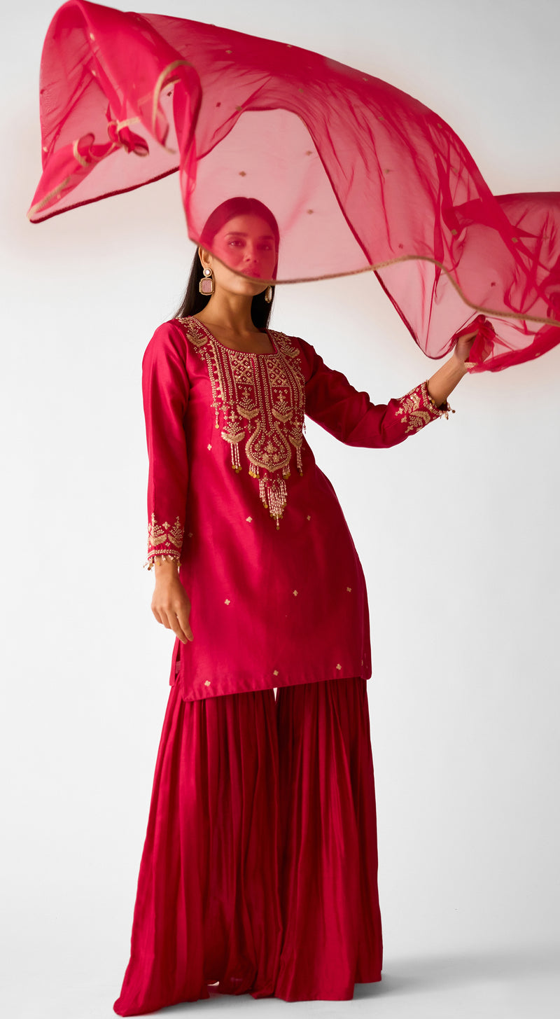 Red Chanderi Embroidered Sharara Set