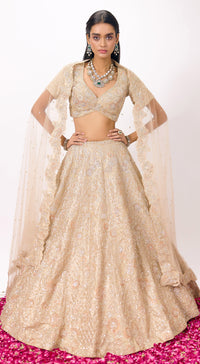 Beige Tissue Embroidered Lehenga Set