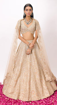 Beige Tissue Embroidered Lehenga Set