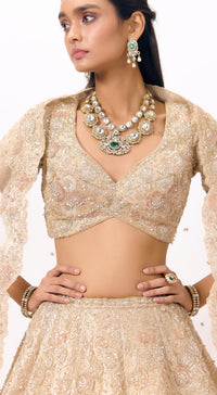 Beige Tissue Embroidered Lehenga Set