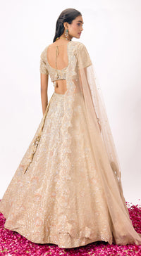 Beige Tissue Embroidered Lehenga Set