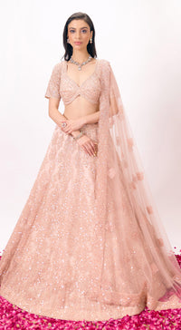 Peach organza Embroidered Lehenga Set