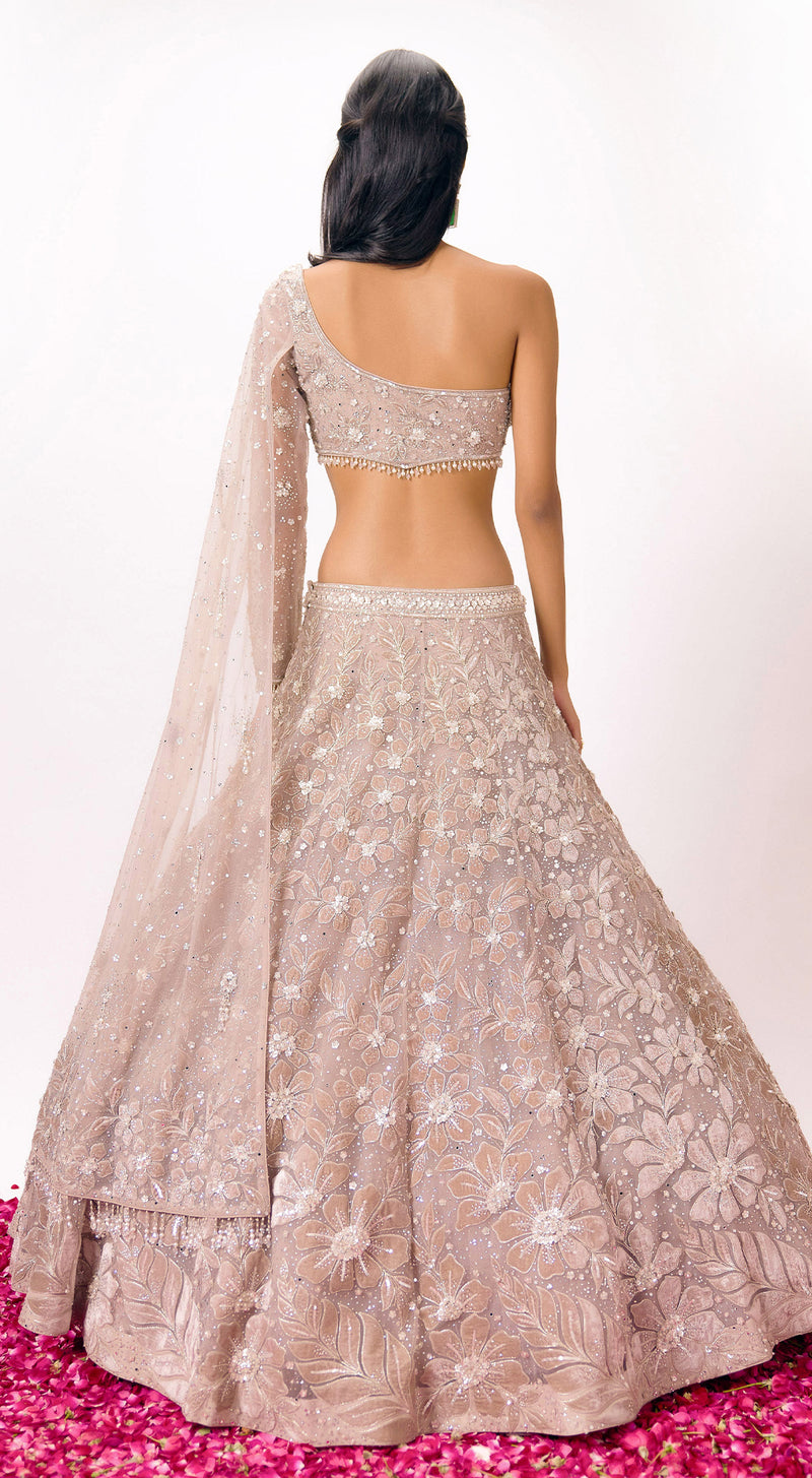 Grey Net Embroidered Lehenga Set