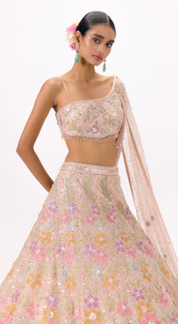 Beige Net Embroidered One Shoulder Lehenga Set