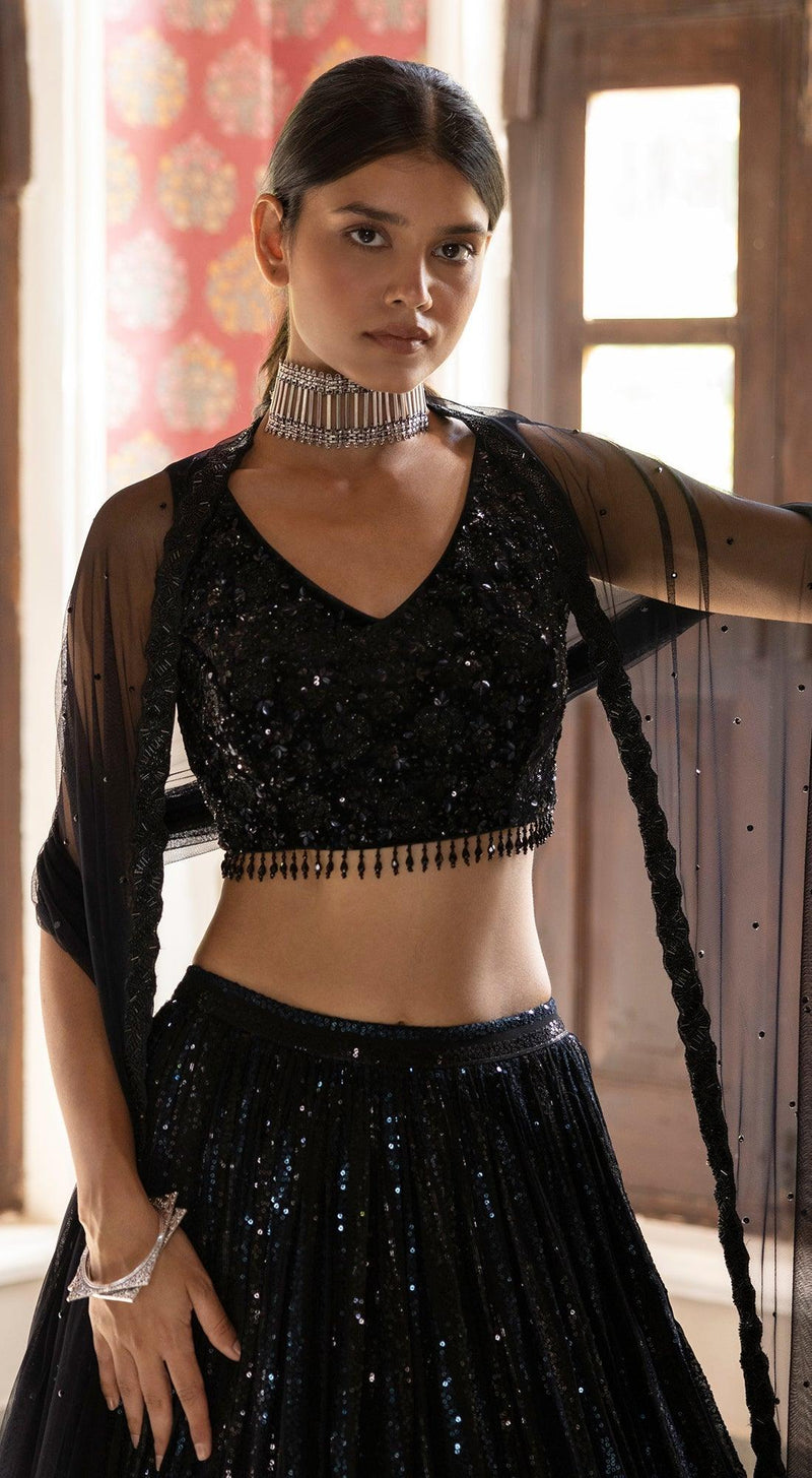 Black Sequins Lehenga With Velvet Blouse - Basanti Kapde aur Koffee