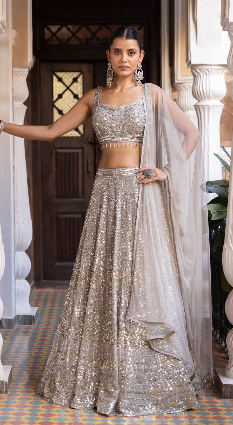 Grey Sequins Embroidered Lehenga - Basanti Kapde aur Koffee