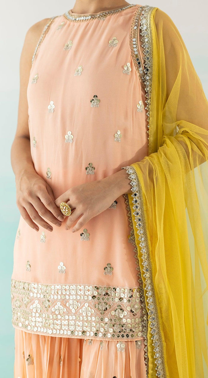 Peach Embroidered Sharara Set With Contrast Dupatta - Basanti Kapde aur Koffee